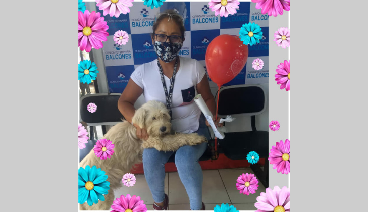 Veterinaria Balcones