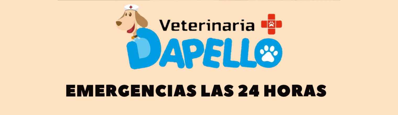 Veterinaria Dapello