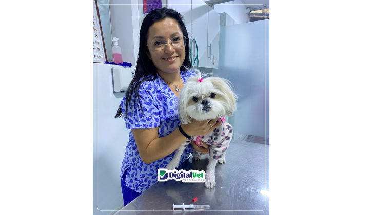 Veterinaria Digital Vet