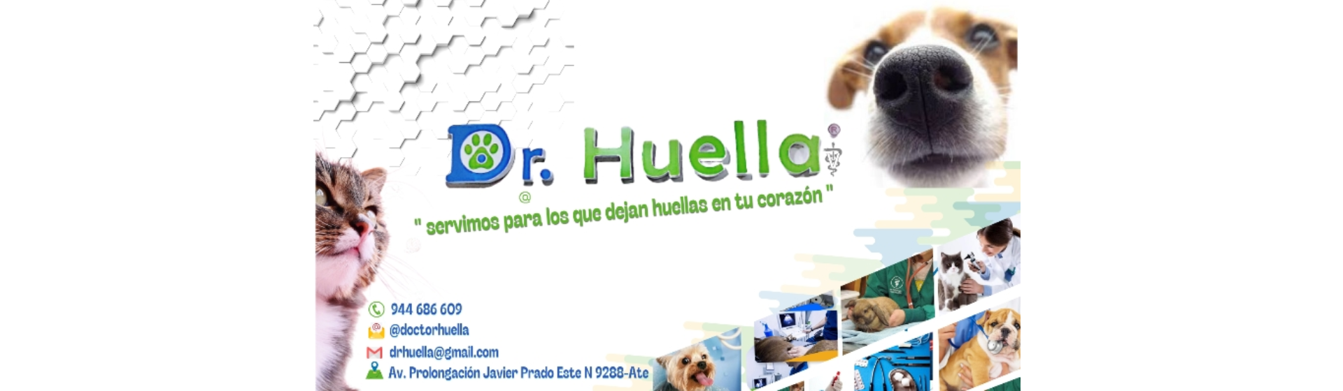 Veterinaria Doctor Huella