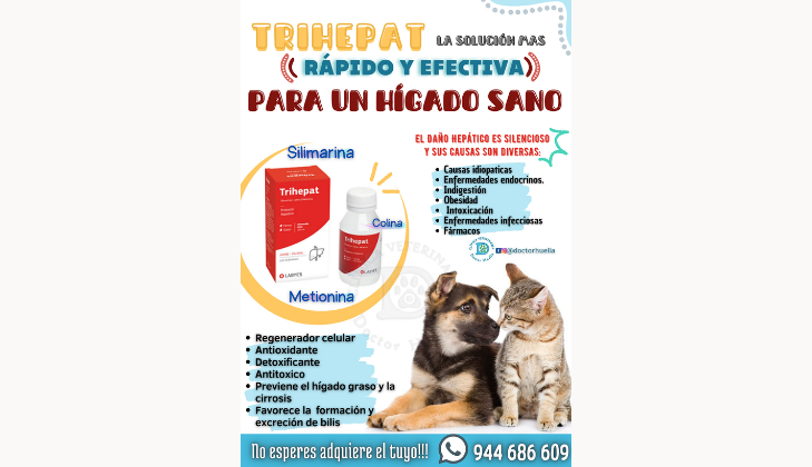 Veterinaria Doctor Huella