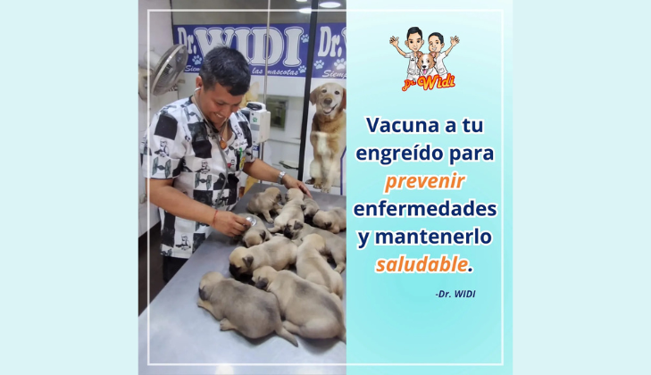 Veterinaria Dr. Widi