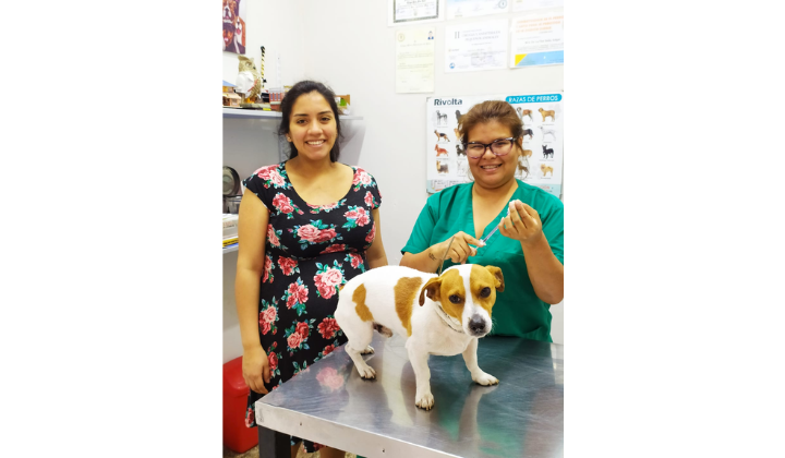 Veterinaria El Mister