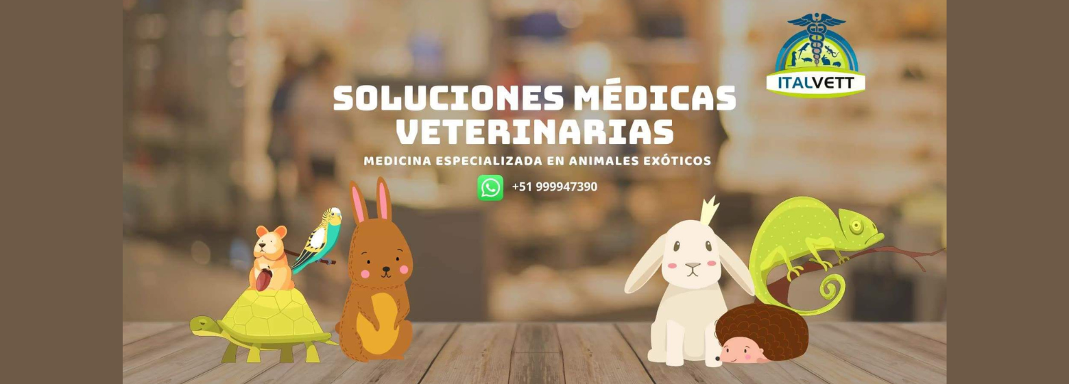 Veterinaria Italvett