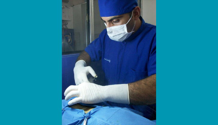 Veterinaria Italvett