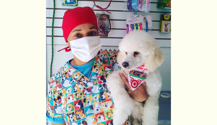 Veterinaria Lola's Pet