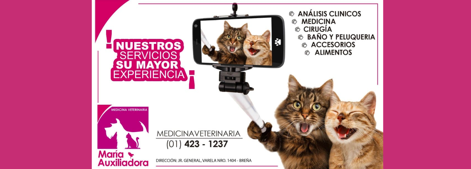 Veterinaria Maria Auxiliadora