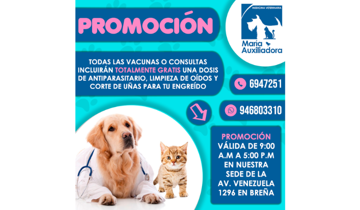 Veterinaria Maria Auxiliadora