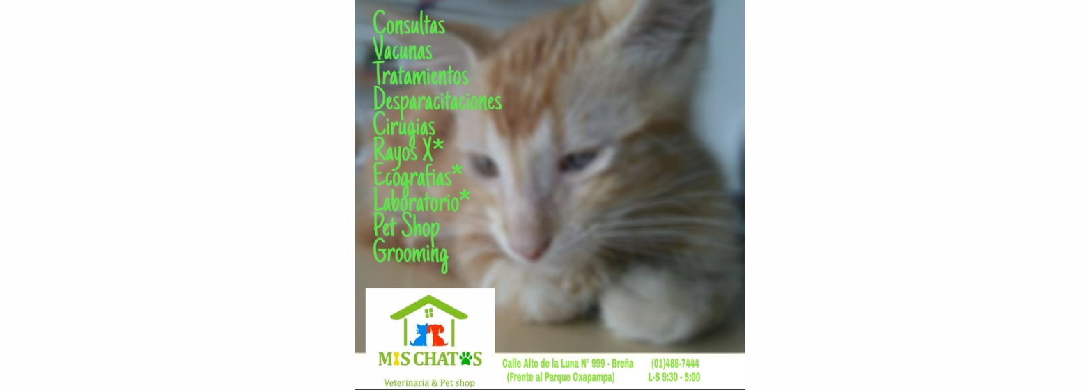 Veterinaria Mis Chatos