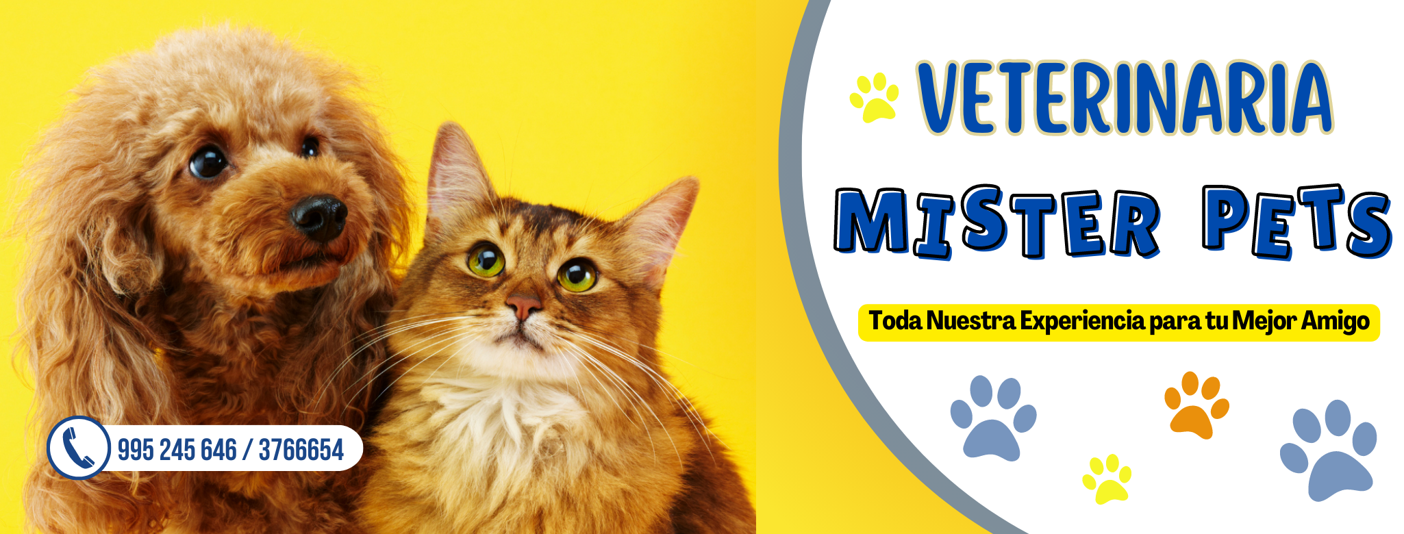 Veterinaria Mister Pets
