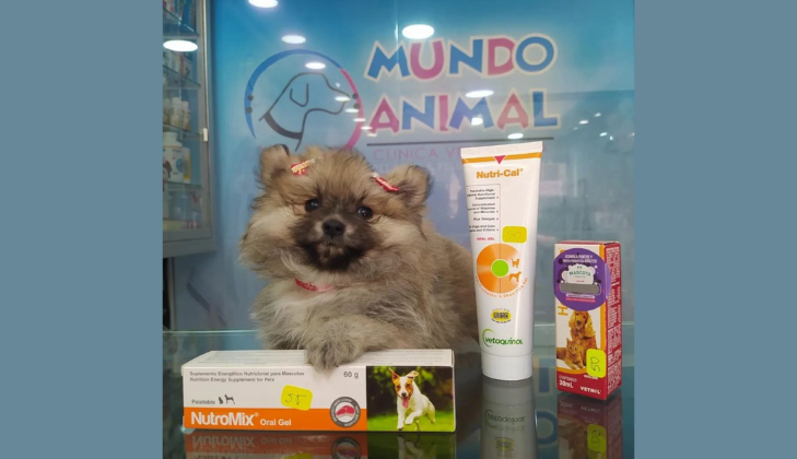 Veterinaria Mundo Animal