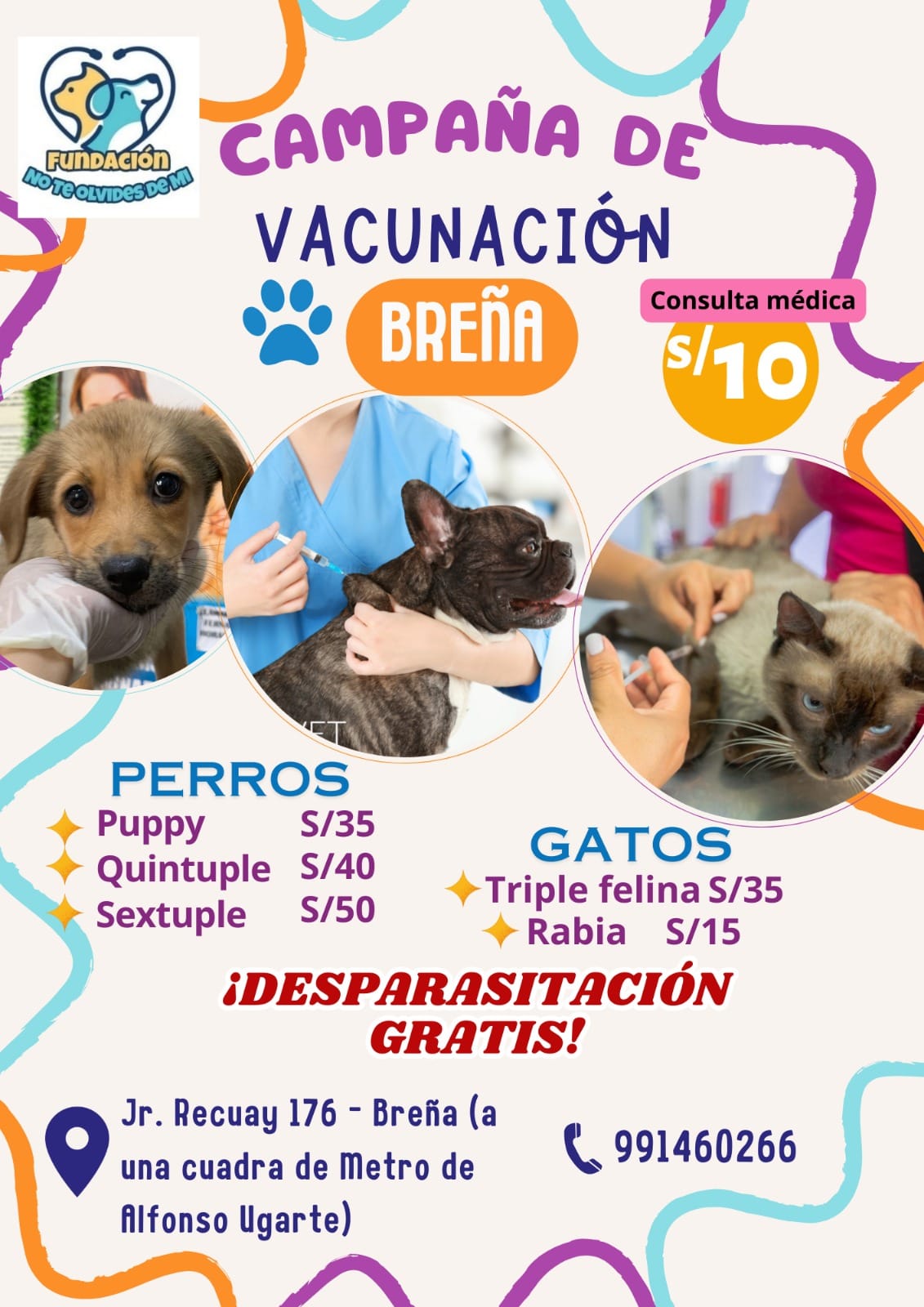 Veterinaria No te Olvides de Mi