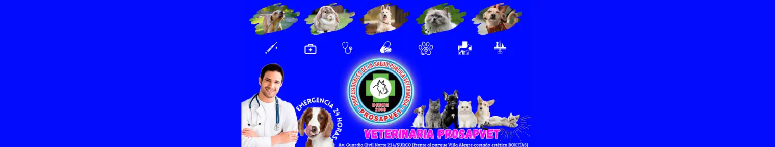 Prosapvet