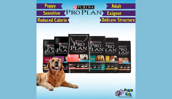 Veterinaria Punto Can - Callao