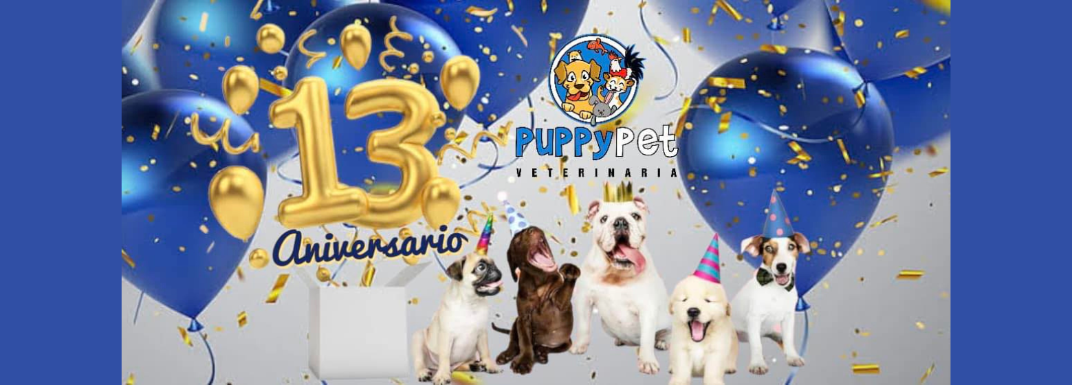 Veterinaria Puppy Pet