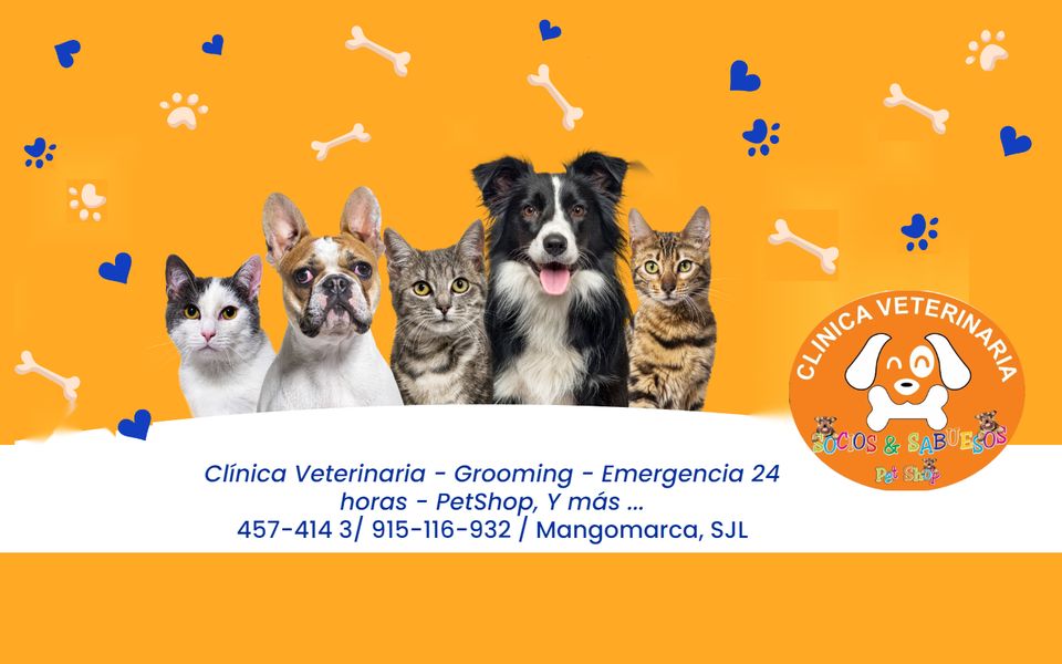 Veterinaria Socios y Sabuesos