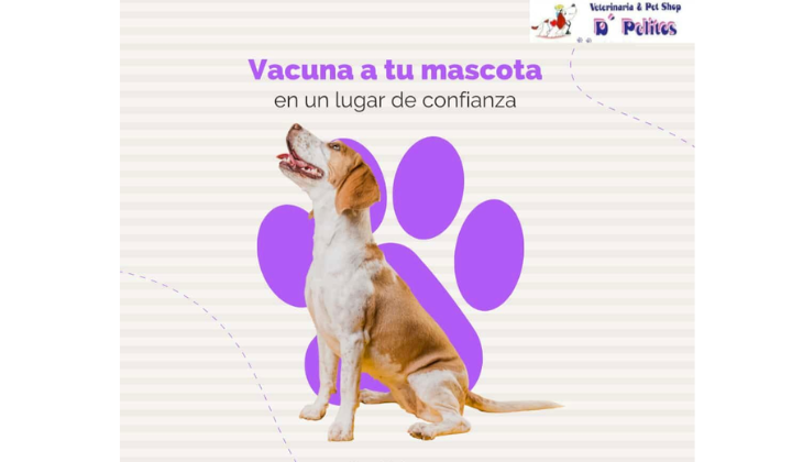 Veterinaria y Petshop D pelitos