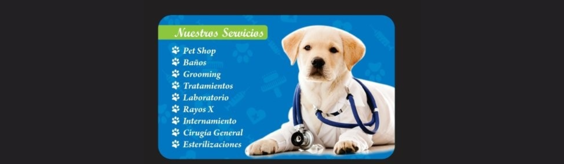Veterinaria Unidas
