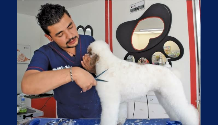 Veterinaria Unidas