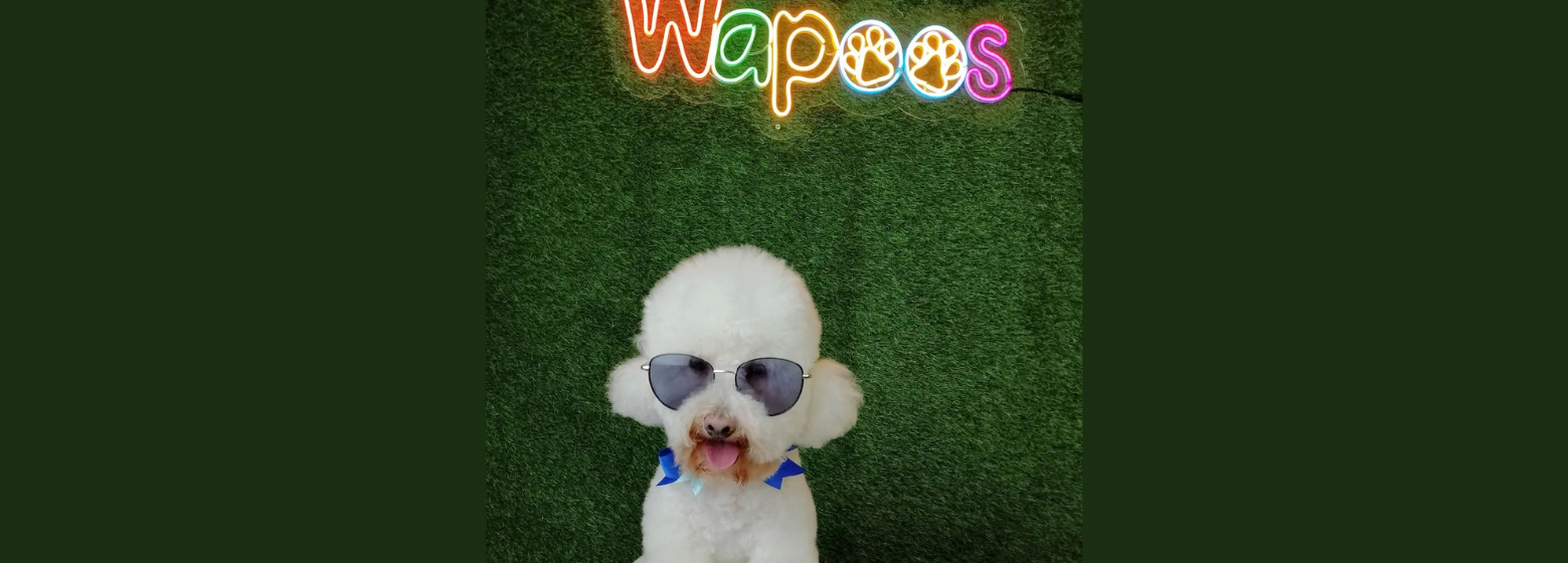 Wapoos