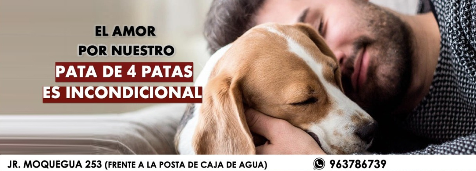 Zoolo Mascotas Veterinaria
