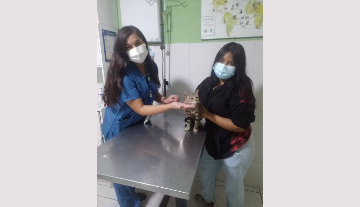 Zoolo Mascotas Veterinaria