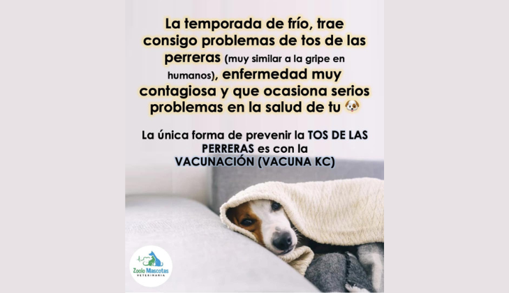 Zoolo Mascotas Veterinaria
