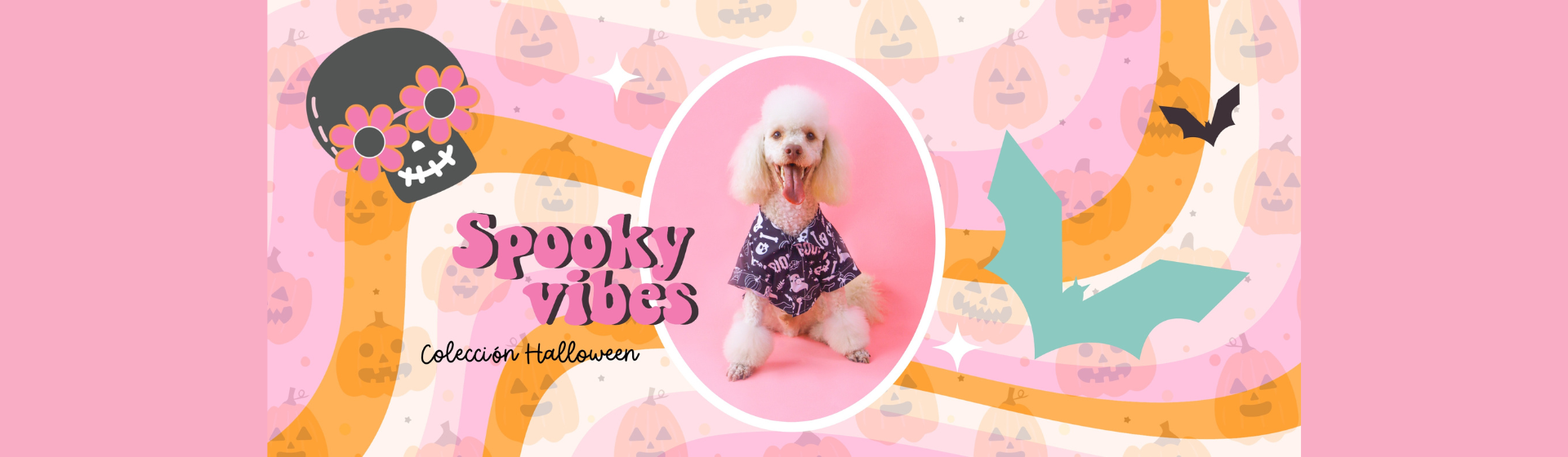 Zsa Zsa World - Pet shop